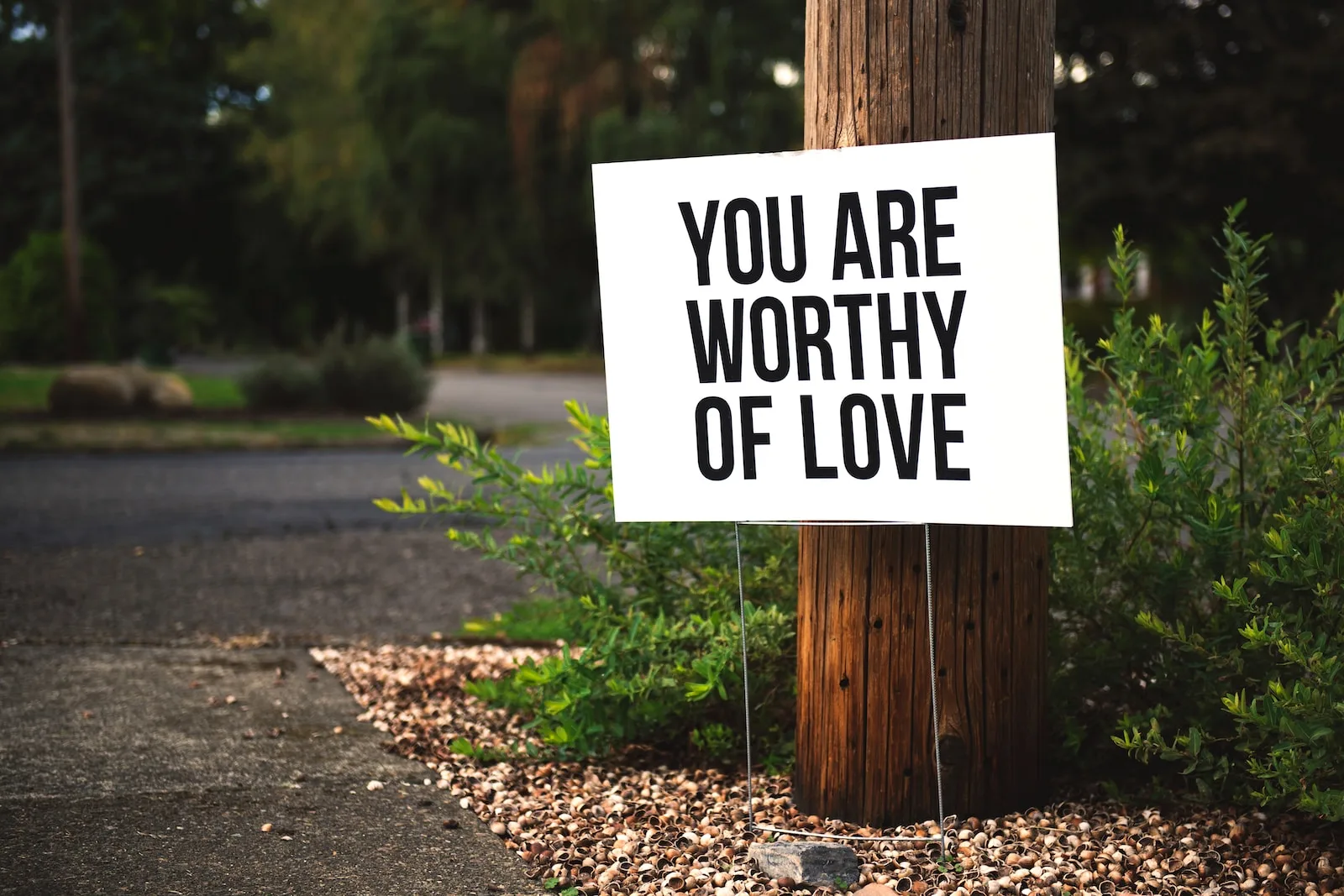 you are worthy of love sign beside tree and road backyard studio shed